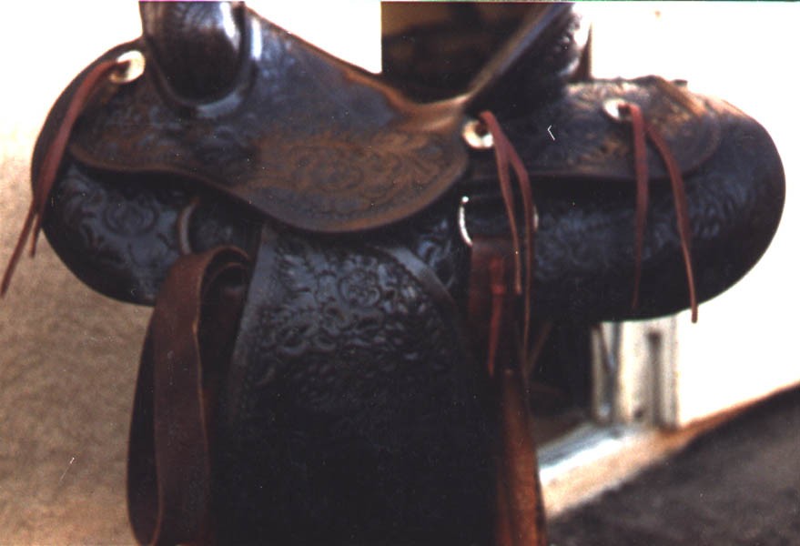 Saddle restoration